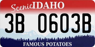 ID license plate 3B0603B