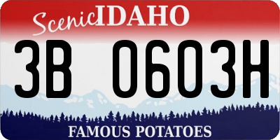ID license plate 3B0603H