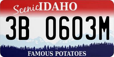 ID license plate 3B0603M