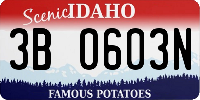 ID license plate 3B0603N