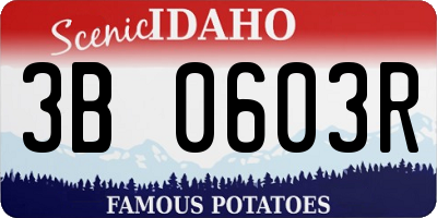 ID license plate 3B0603R