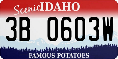 ID license plate 3B0603W
