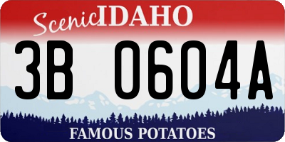 ID license plate 3B0604A