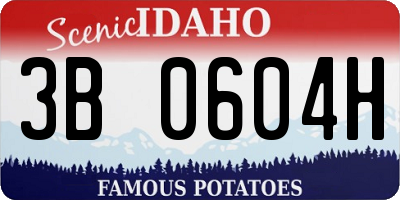 ID license plate 3B0604H