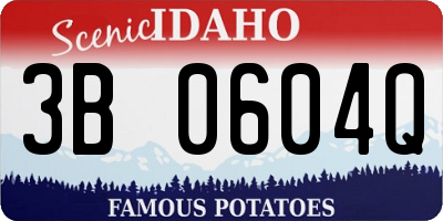 ID license plate 3B0604Q