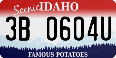 ID license plate 3B0604U