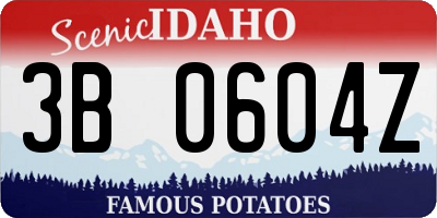 ID license plate 3B0604Z