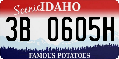 ID license plate 3B0605H