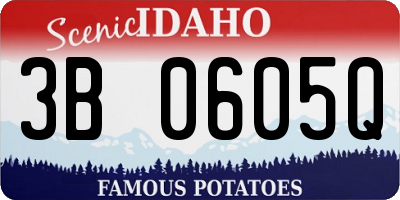 ID license plate 3B0605Q