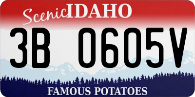 ID license plate 3B0605V