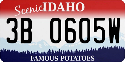 ID license plate 3B0605W