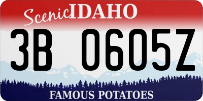 ID license plate 3B0605Z