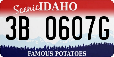 ID license plate 3B0607G