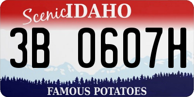 ID license plate 3B0607H