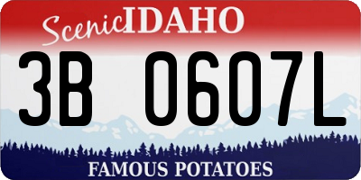 ID license plate 3B0607L