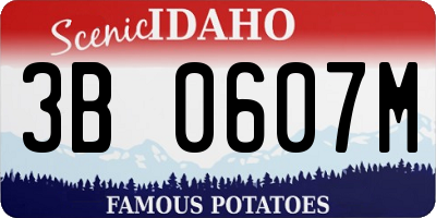 ID license plate 3B0607M