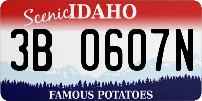 ID license plate 3B0607N
