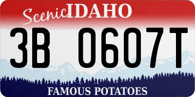 ID license plate 3B0607T