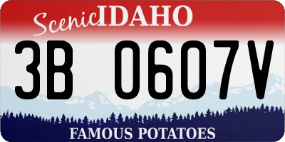 ID license plate 3B0607V