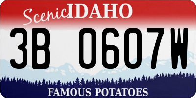 ID license plate 3B0607W