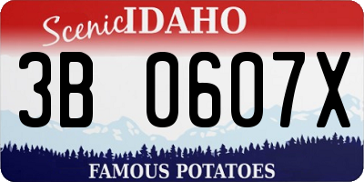 ID license plate 3B0607X