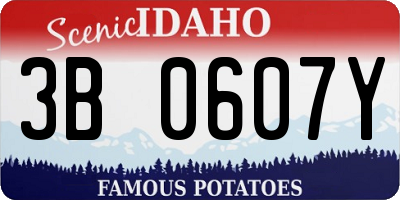 ID license plate 3B0607Y