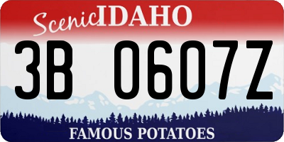 ID license plate 3B0607Z