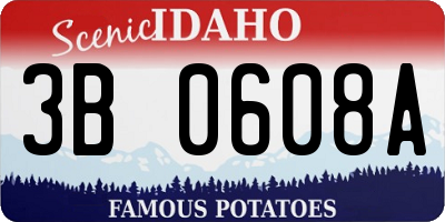 ID license plate 3B0608A