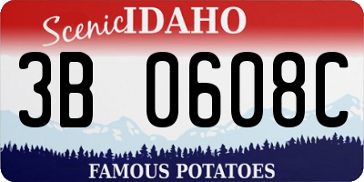 ID license plate 3B0608C