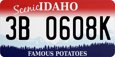 ID license plate 3B0608K