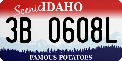 ID license plate 3B0608L