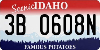 ID license plate 3B0608N