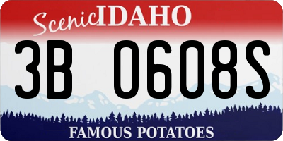 ID license plate 3B0608S