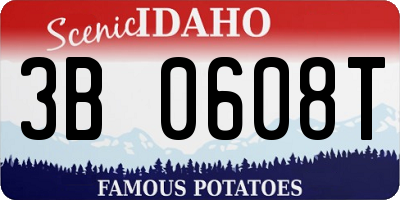 ID license plate 3B0608T