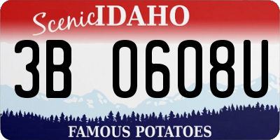 ID license plate 3B0608U
