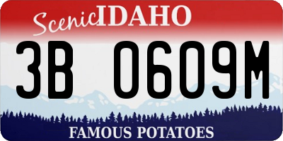 ID license plate 3B0609M