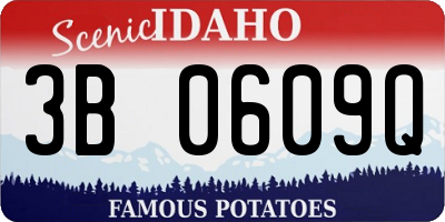 ID license plate 3B0609Q