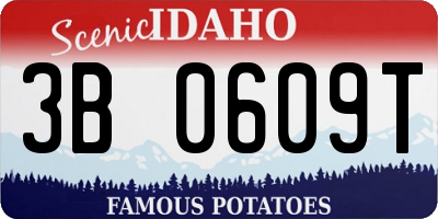 ID license plate 3B0609T