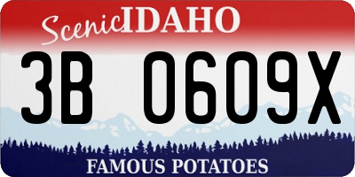 ID license plate 3B0609X