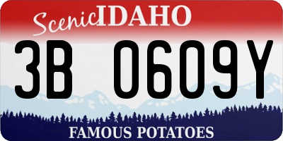 ID license plate 3B0609Y