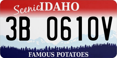 ID license plate 3B0610V