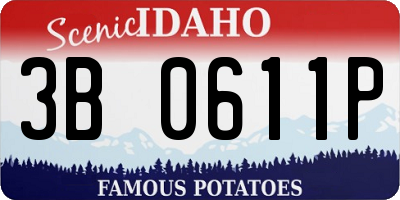 ID license plate 3B0611P