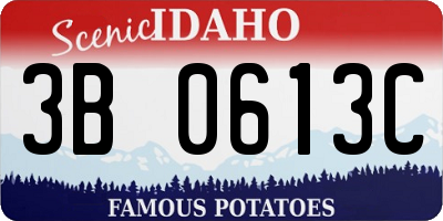 ID license plate 3B0613C
