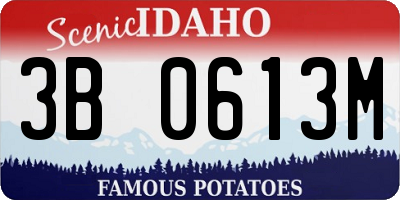 ID license plate 3B0613M