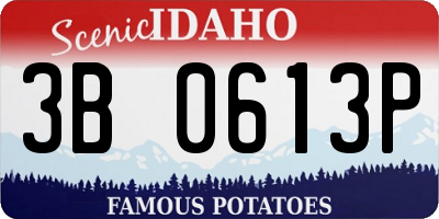 ID license plate 3B0613P