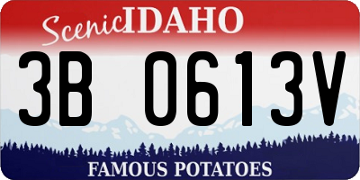 ID license plate 3B0613V