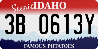 ID license plate 3B0613Y