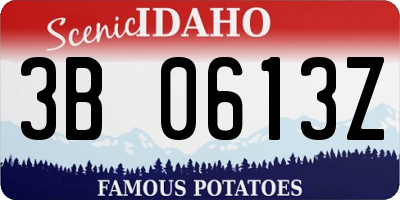ID license plate 3B0613Z
