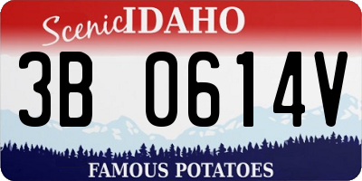 ID license plate 3B0614V