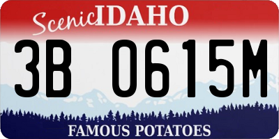 ID license plate 3B0615M